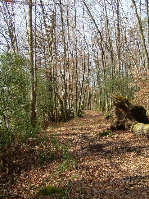 Randonnée Creuse - Randonnée Limousin