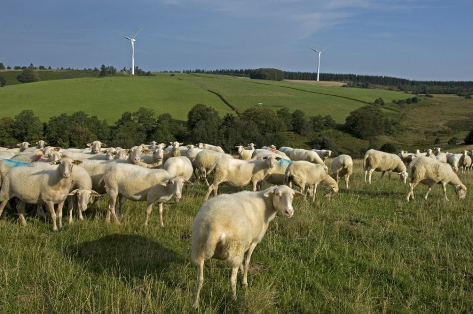 Randonnée Creuse ©J.Damase Randonnée Creuse - Randonnée Limousin