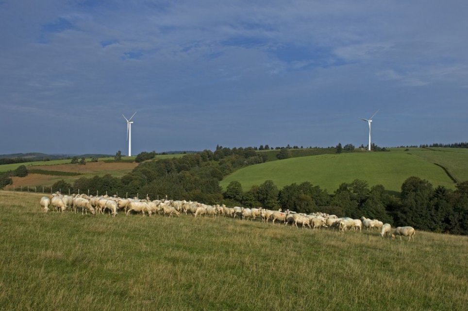 Randonnée Creuse ©J.Damase Randonnée Creuse - Randonnée Limousin