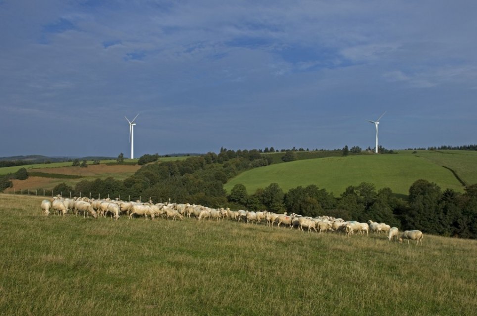 Randonnée Creuse - Randonnée Limousin