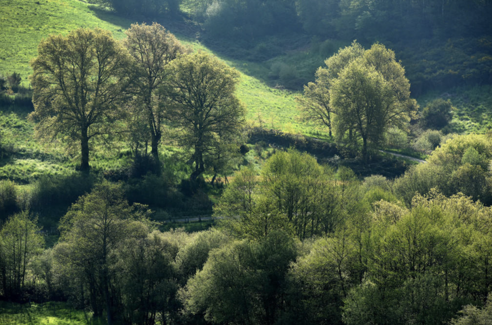 Circuit Trail en Creuse Circuit Trail en Creuse