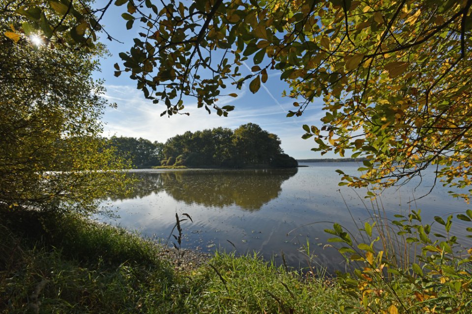 Etang des Landes - Crédit photo : Joel Damase Randonnée étang des Landes - Randonnée Creuse