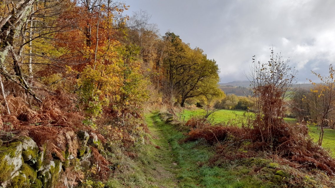 Chemin creux