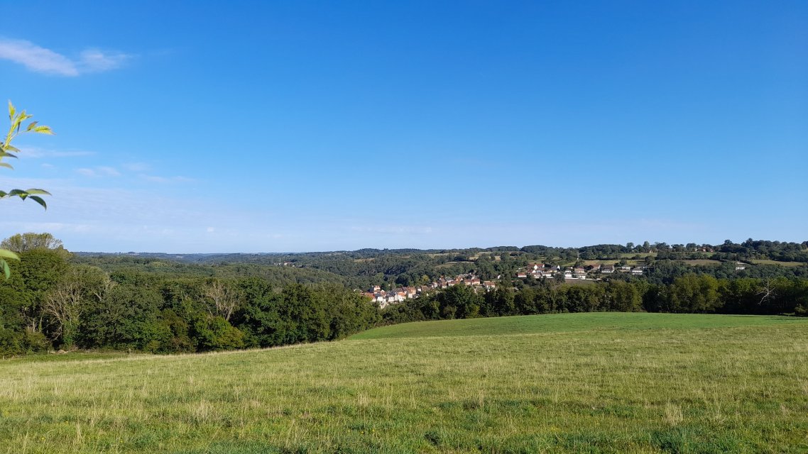 Vue