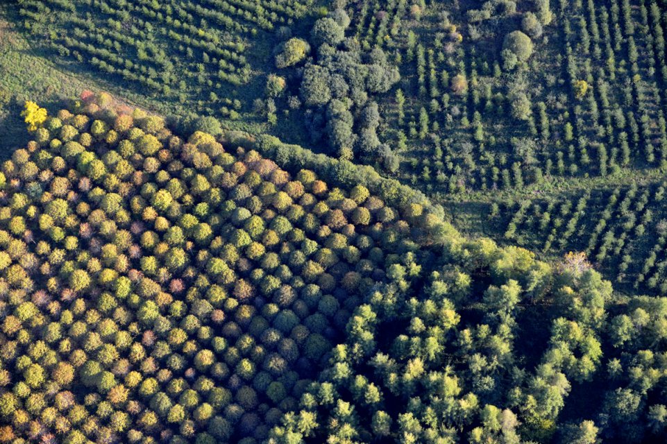 VTT Creuse, randonnée VTT en creuse La forêt de Chabrières