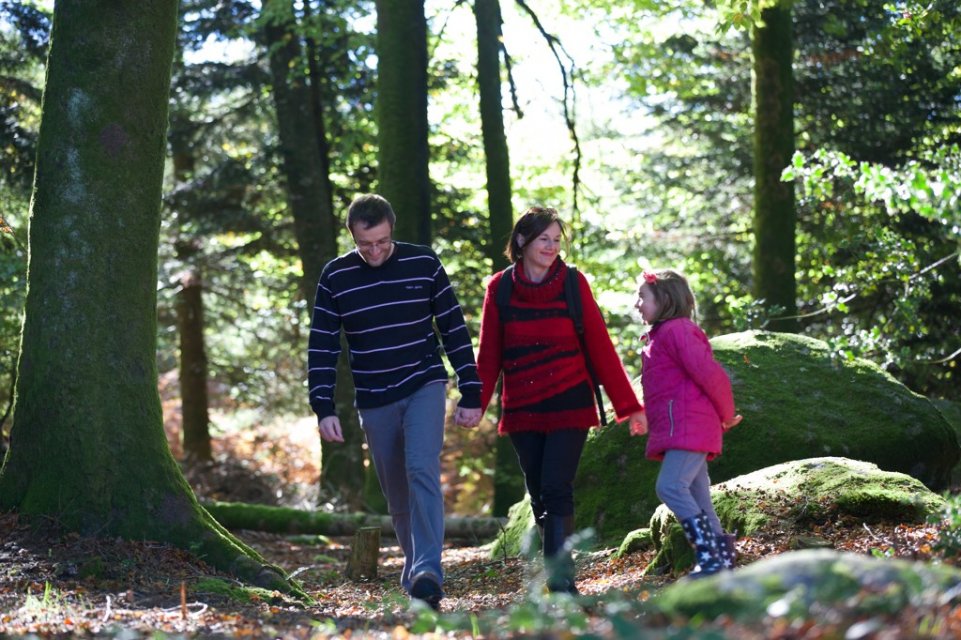 Forêt de Chabrières ©Saison d'Or - M.Anglada
