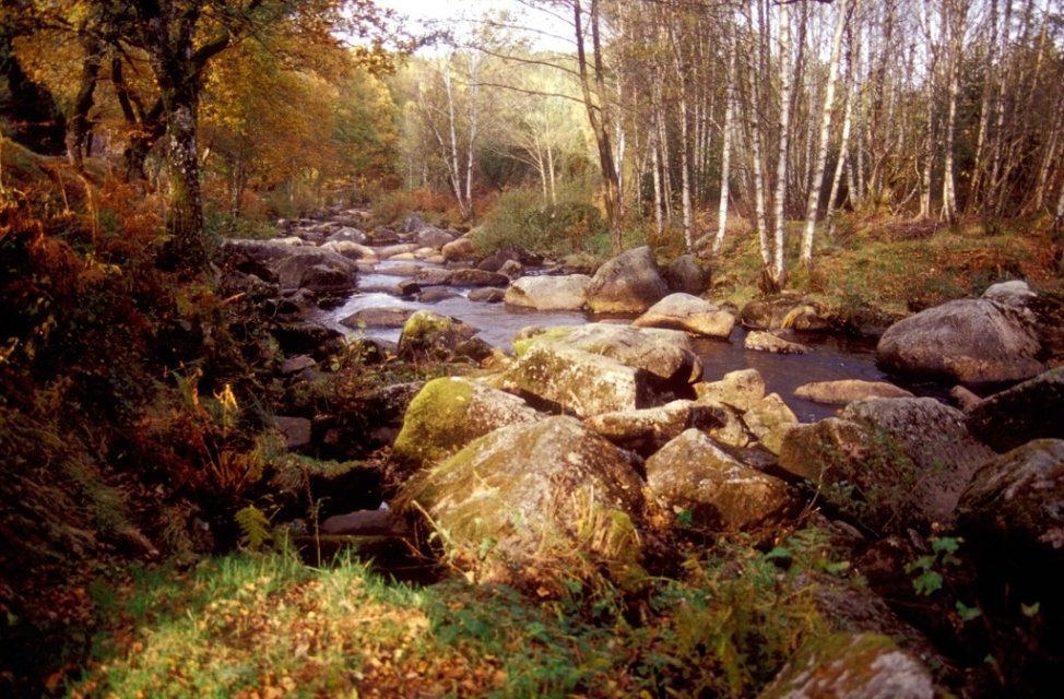 Randonnée Creuse - Randonnée Limousin ©P.Desheraud