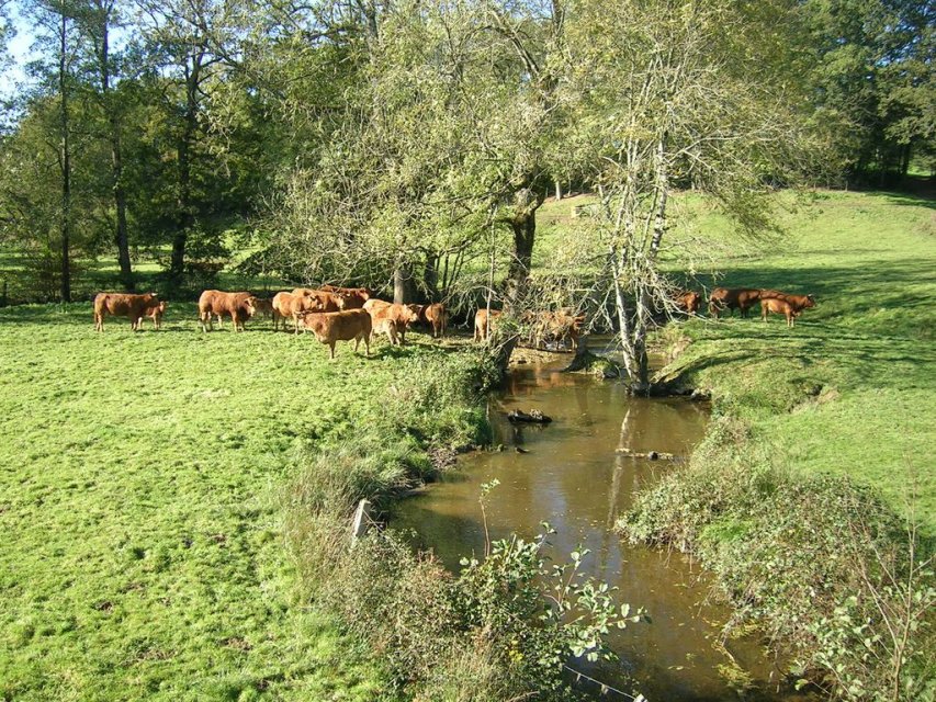 Randonnée Creuse - Randonnée Limousin
