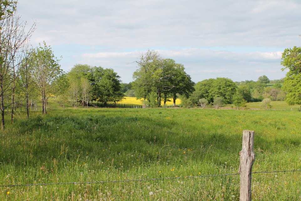 Randonnée Creuse - Randonnée Limousin