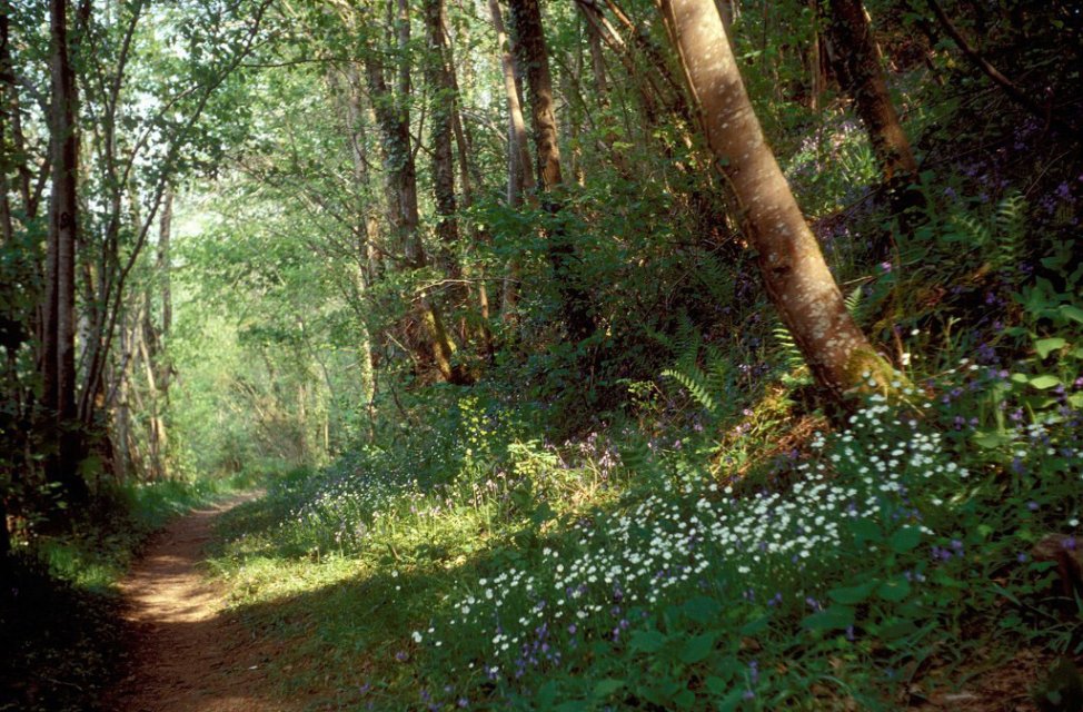 Randonnée Creuse - Randonnée Limousin ©P.Desheraud