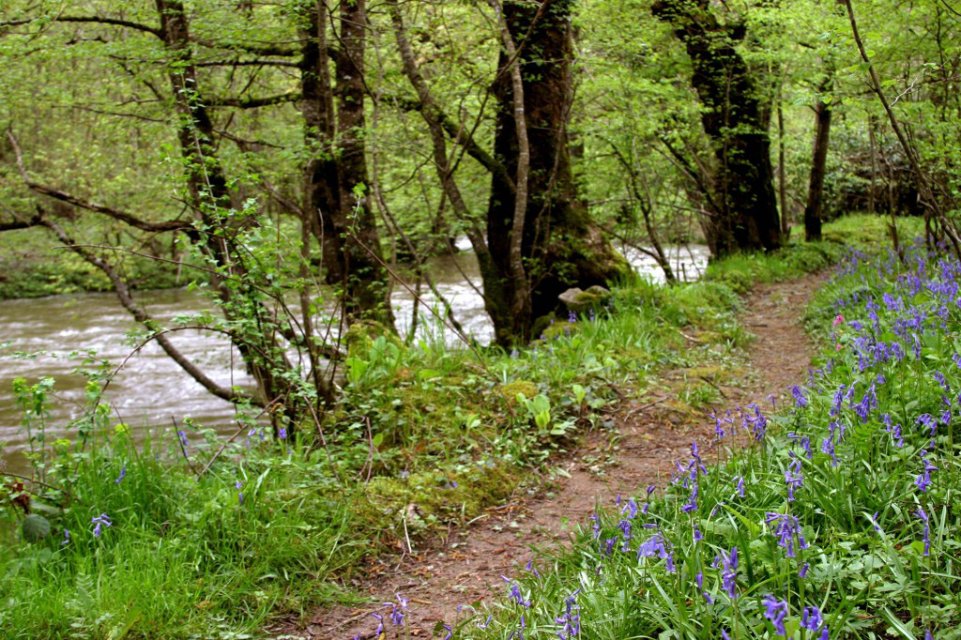 Randonnée Creuse - Randonnée Limousin