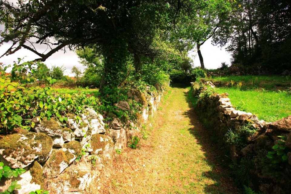 Randonnée Creuse - Randonnée Limousin ©P.Desheraud