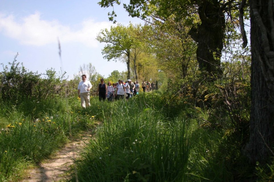 Randonnée Creuse - Randonnée Limousin