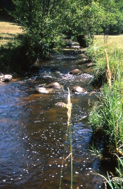 Randonnée Creuse - Randonnée Limousin ©M.Tijeiras/M.Villejoubert