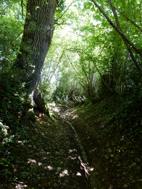 Randonnée Creuse - Randonnée Limousin