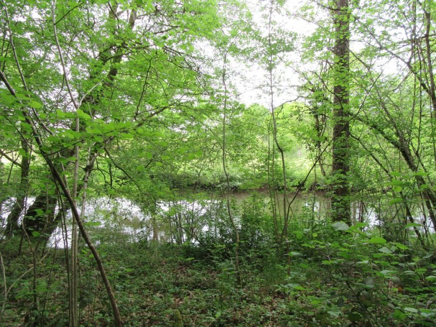 Randonnée Creuse - Randonnée Limousin Randonnée Creuse - Randonnée Limousin