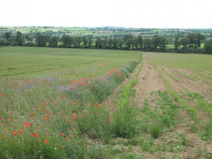 Randonnée Creuse - Randonnée Limousin