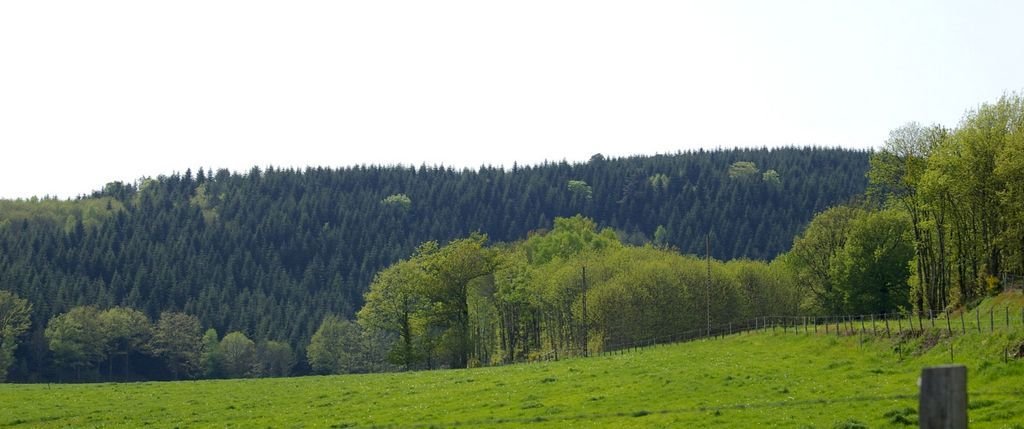 Randonnée Creuse - Randonnée Limousin ©P.Berger