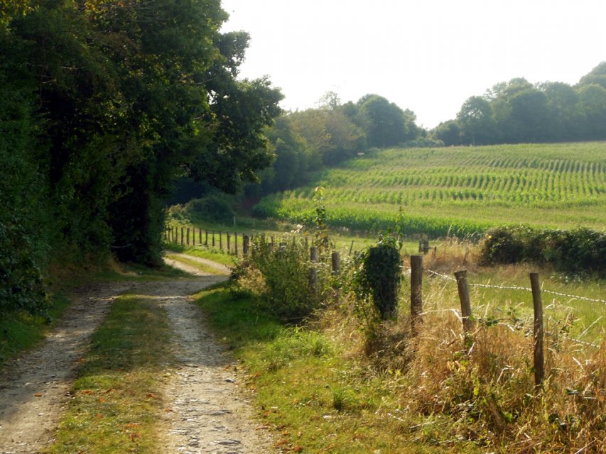 Randonnée Creuse - Randonnée Limousin