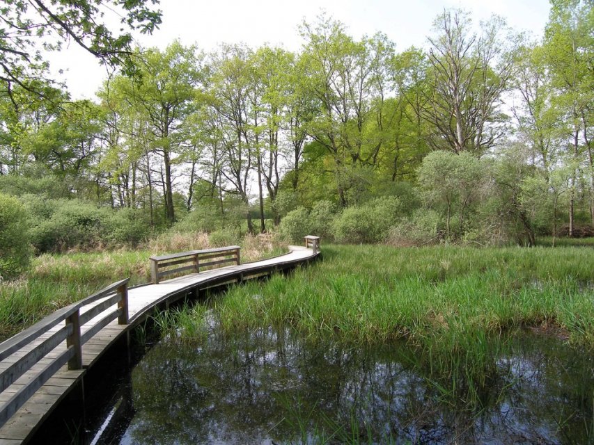©CREN Etang des landes - Randonnée Creuse - Randonnée Limousin