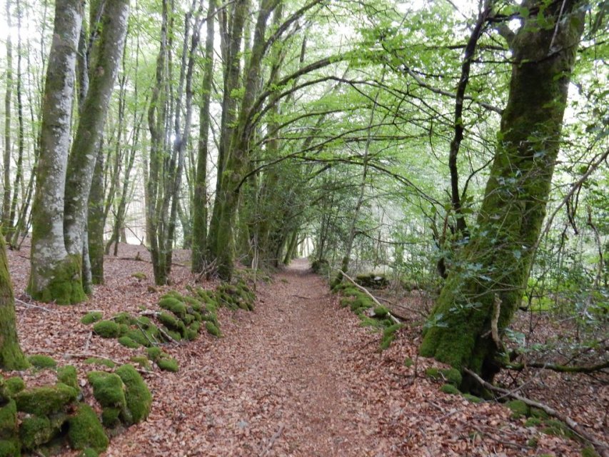 Randonnée Creuse - Randonnée Limousin