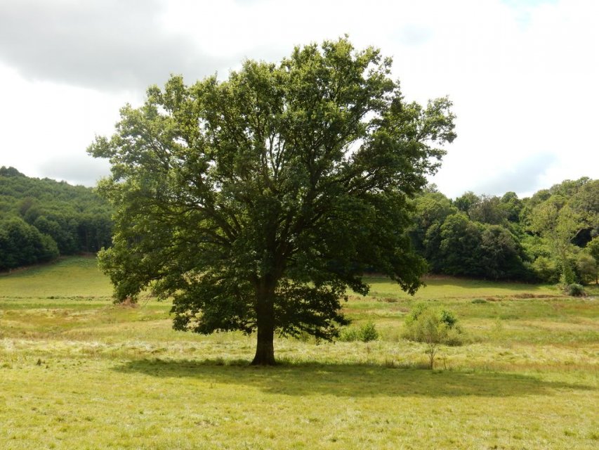 Randonnée Creuse - Randonnée Limousin
