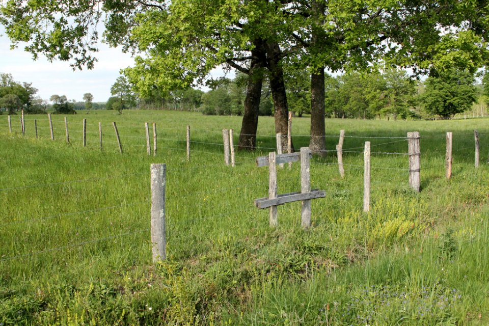 Randonnée Creuse - Randonnée Limousin
