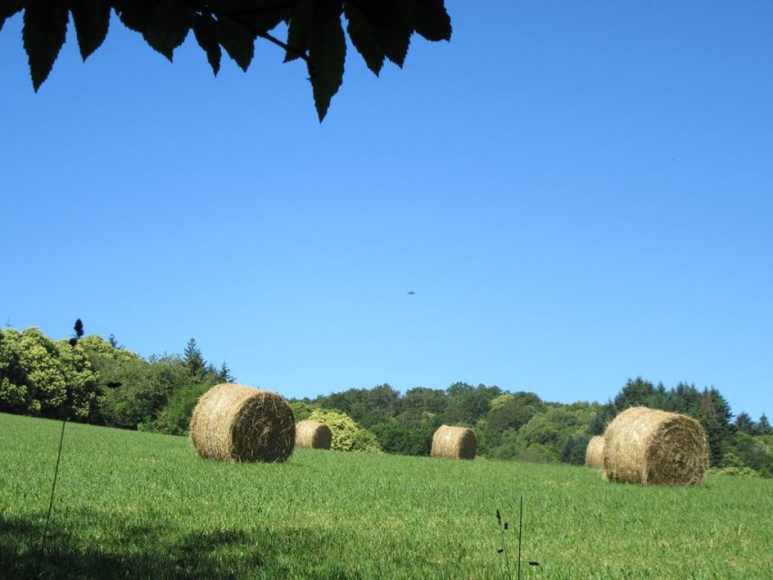 Randonnée Creuse - Randonnée Limousin