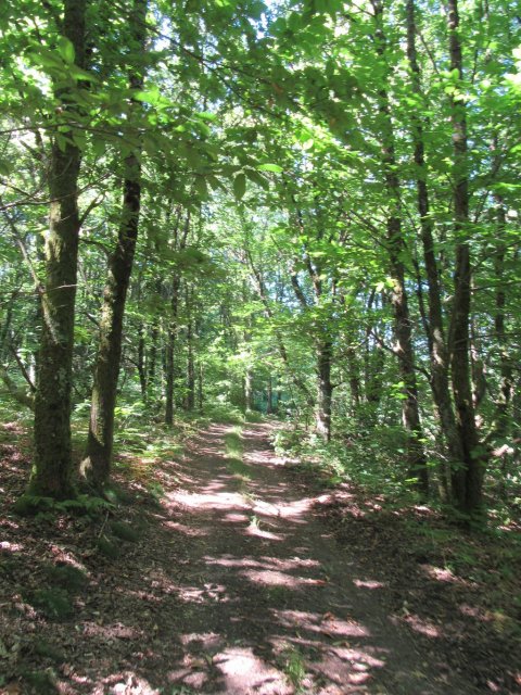 Randonnée Creuse - Randonnée Limousin