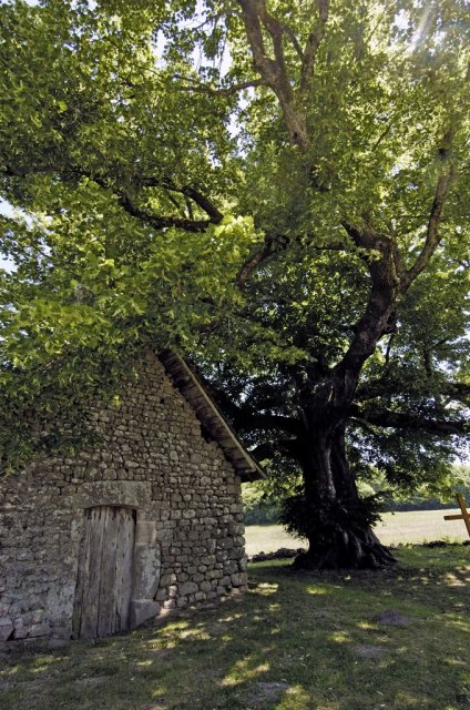 Randonnée Creuse - Randonnée Limousin