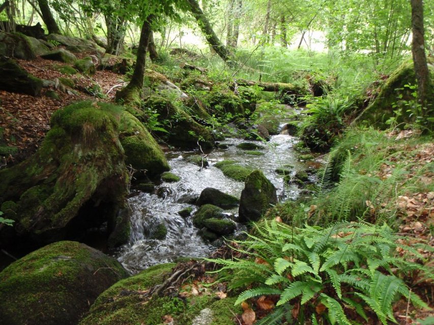 Randonnée Creuse - Randonnée Limousin - Lande du Puy La Croix ©Lac de Vassivière
