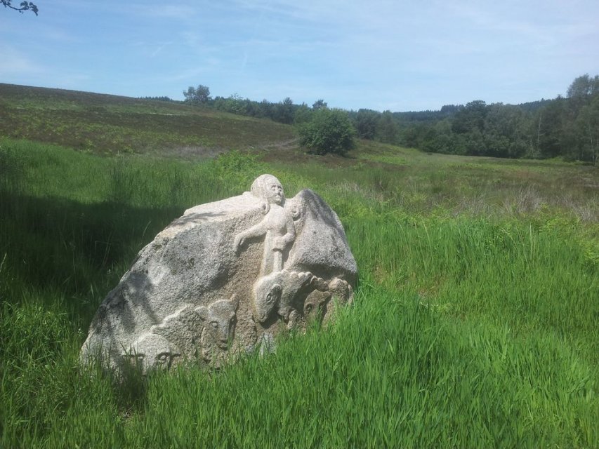Randonnée Creuse - Randonnée Limousin - Lande du Puy La Croix ©Lac de Vassivière