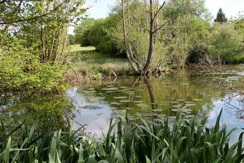 Randonnée Creuse - Randonnée Limousin