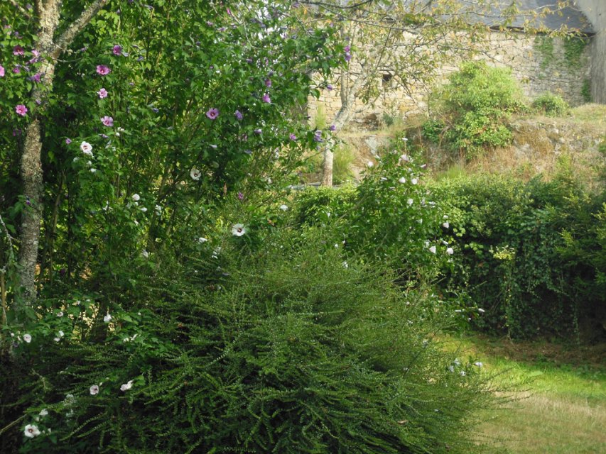 Randonnée Creuse - Randonnée Limousin