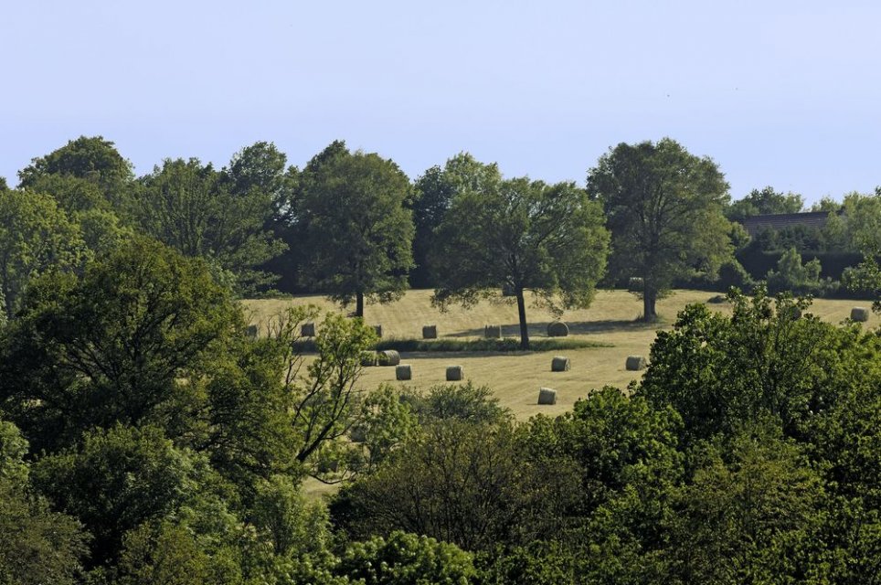 Randonnée Creuse - Randonnée Limousin ©J.Damase