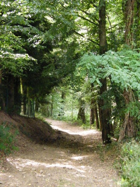 Randonnée Creuse - Randonnée Limousin ©CCPD