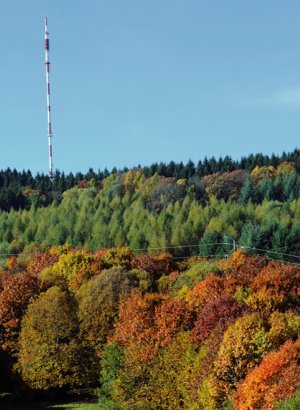 Un environnement sain et complet d’entraînement pour les sportifs de haut niveau